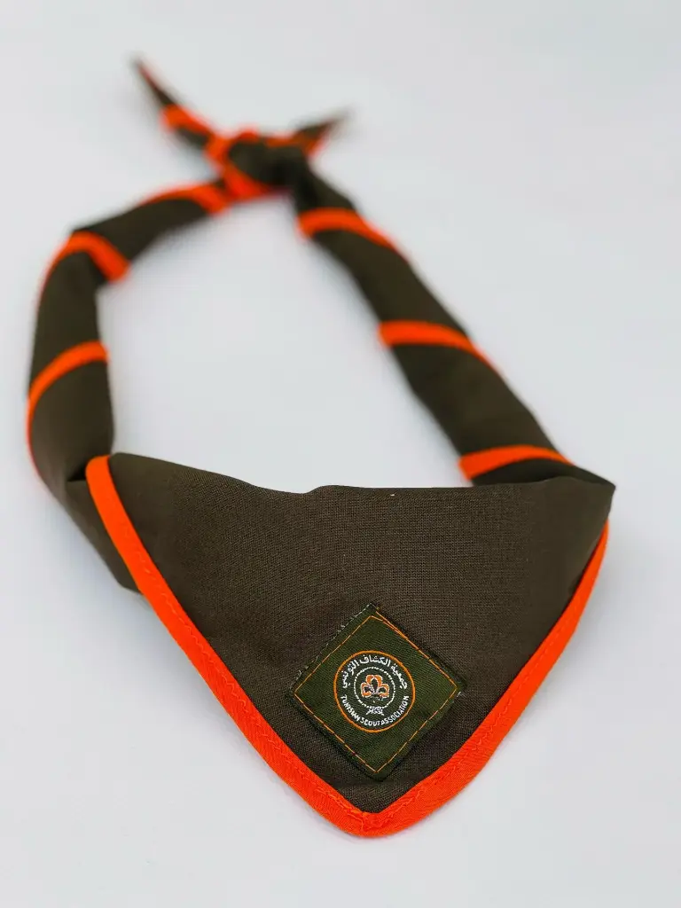 Asset 2vegj (2).webp